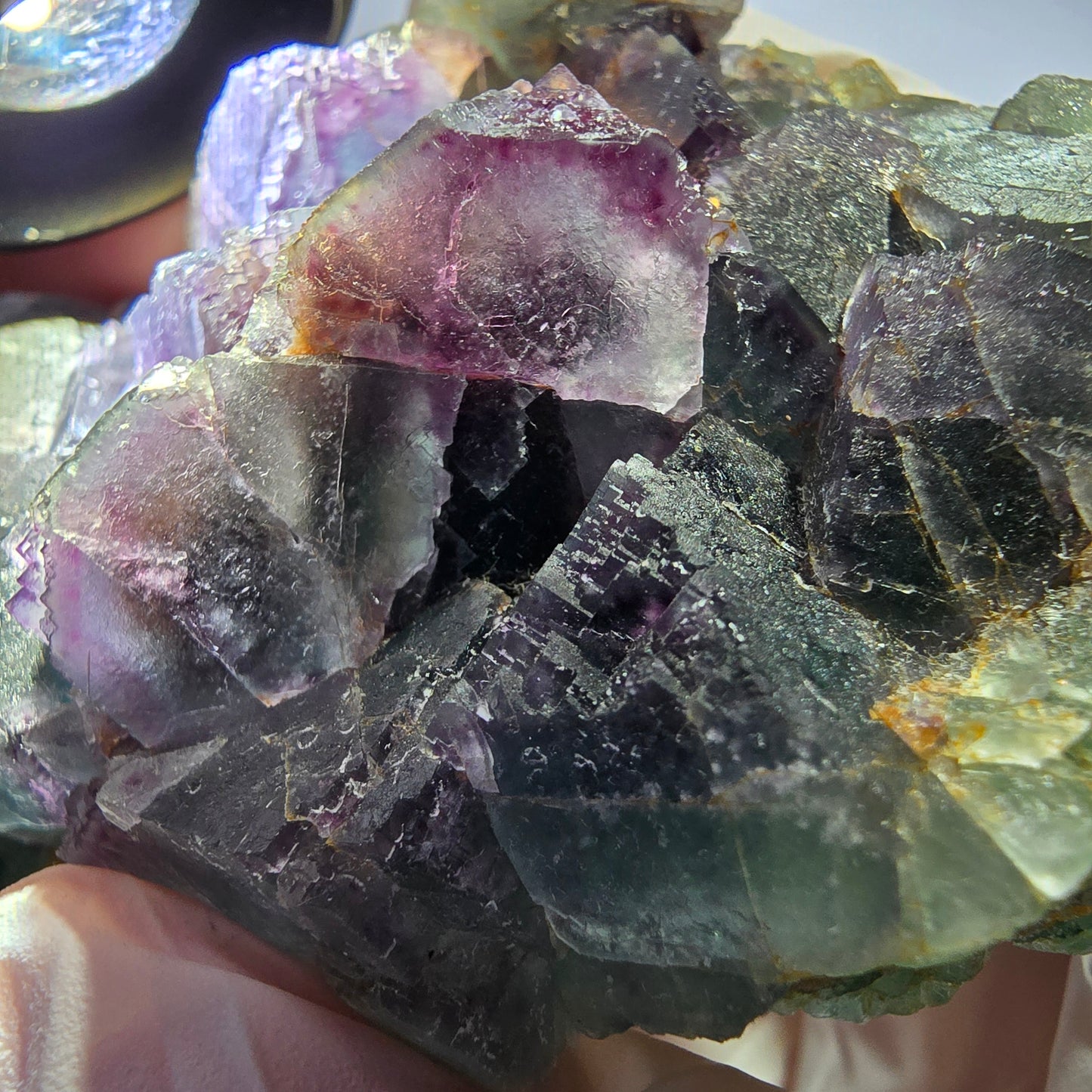 Grand spécimen de cube de fluorite fantôme, vert violet, Okorusu, Namibie, 88 x 60 x 40 mm 