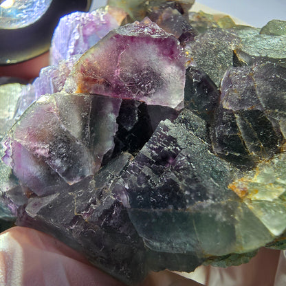 Grand spécimen de cube de fluorite fantôme, vert violet, Okorusu, Namibie, 88 x 60 x 40 mm 
