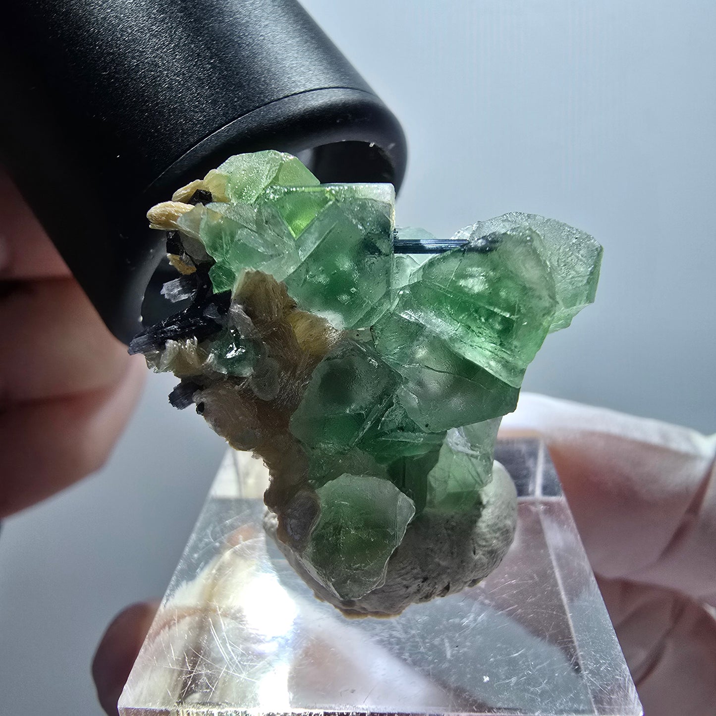Fluorite fantôme, Tourmaline Schörl, Stade muscovite Erongo, Namibie 29*27*21mm #12000 