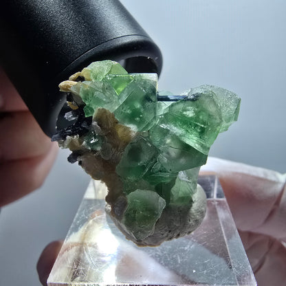 Fluorite fantôme, Tourmaline Schörl, Stade muscovite Erongo, Namibie 29*27*21mm #12000 