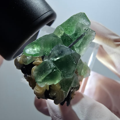 Fluorite fantôme, Tourmaline Schörl, Stade muscovite Erongo, Namibie 29*27*21mm #12000 