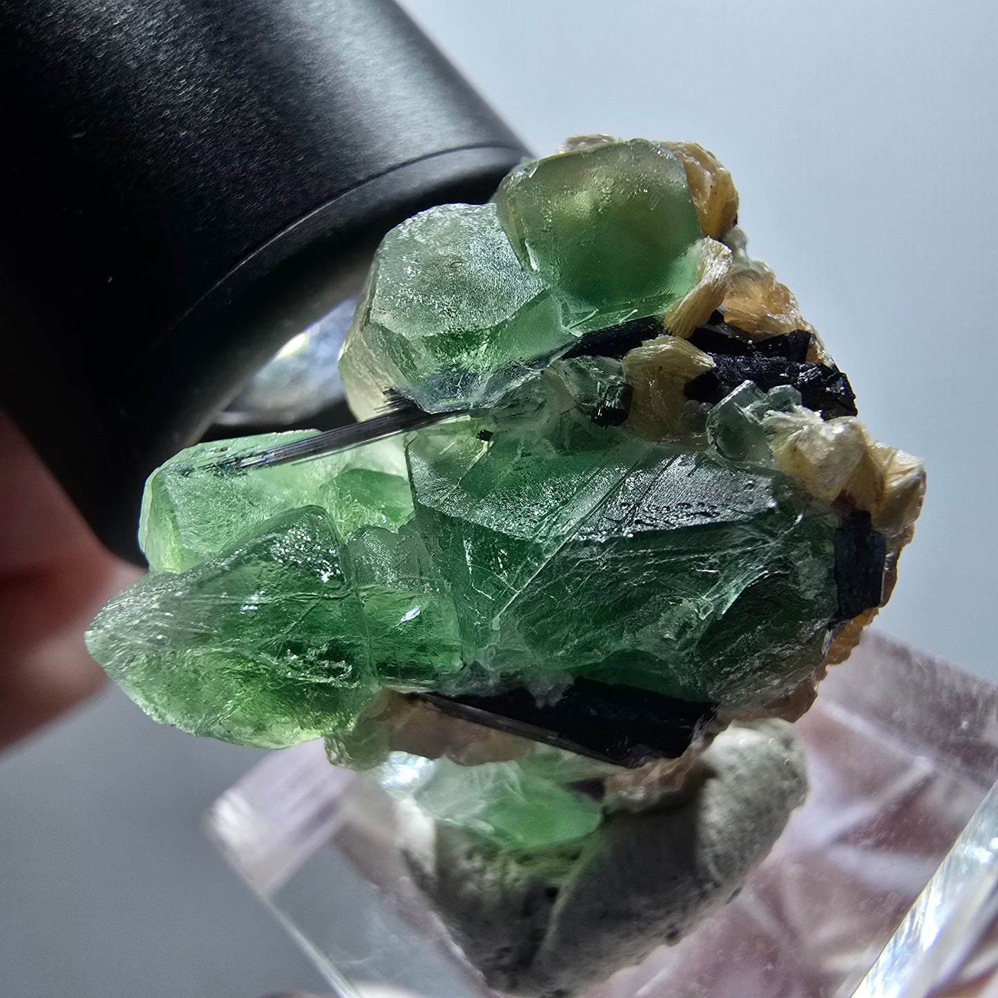 Fluorite fantôme, Tourmaline Schörl, Stade muscovite Erongo, Namibie 29*27*21mm #12000 