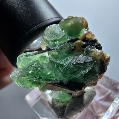 Fluorite fantôme, Tourmaline Schörl, Stade muscovite Erongo, Namibie 29*27*21mm #12000 