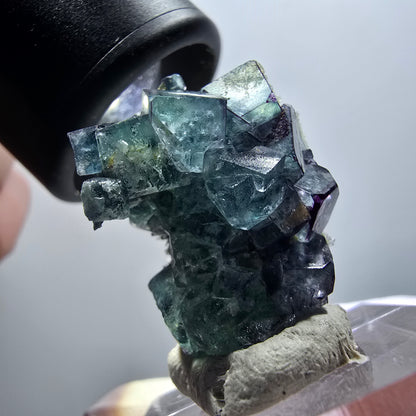 Spécimen rare de fluorite fantôme et de tourmaline schorl, Erongo, Namibie, 28 x 22 x 21 mm, n° 12003 