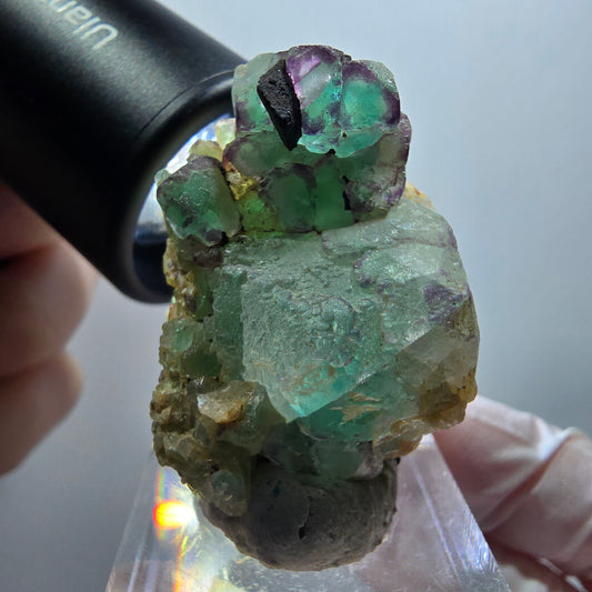 Seltene Phantom Fluorit Würfel Stufe, grün lila Erongo, Namibia 38*29*25mm #12009