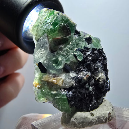 Phantom Fluorite, Schörl Tourmaline, Muscovite Stage Erongo, Namibia 44*30*26mm #12010 