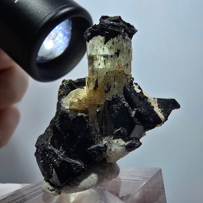 Rare aquamarine, schorl tourmaline specimen Erongo, Namibia 40*29*23mm #12012 