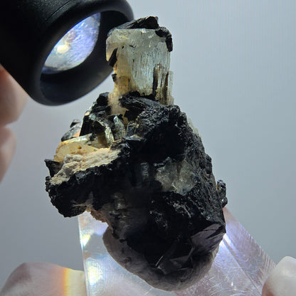 Rare aquamarine, schorl tourmaline specimen Erongo, Namibia 40*29*23mm #12012 