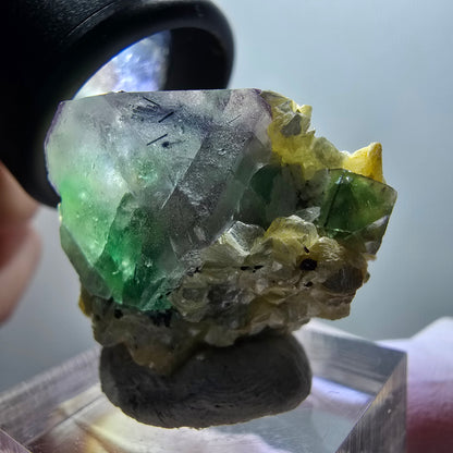 Fluorite fantôme, Tourmaline Schörl, Stade muscovite Erongo, Namibie 31*27*21mm #12030 