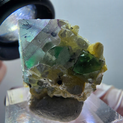 Fluorite fantôme, Tourmaline Schörl, Stade muscovite Erongo, Namibie 31*27*21mm #12030 