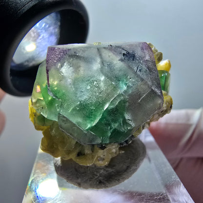 Fluorite fantôme, Tourmaline Schörl, Stade muscovite Erongo, Namibie 31*27*21mm #12030 