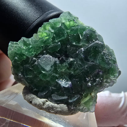 Fluorite fantôme, Tourmaline Schörl, Stade muscovite Erongo, Namibie 34*30*11mm #12031 