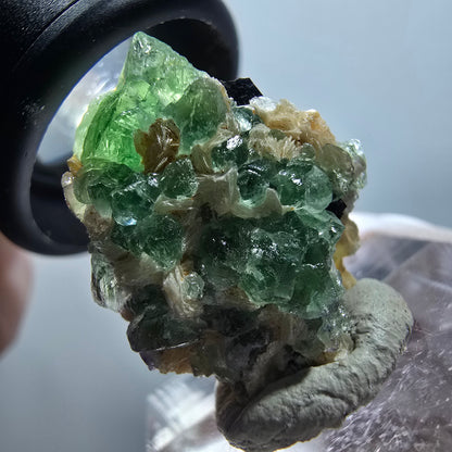Fluorite fantôme, tourmaline Schörl, muscovite Stage Erongo, Namibie 24*21*15mm #12037 