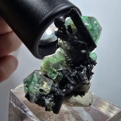 Phantom Fluorit hexagonal, Schörl Turmalin Stufe Erongo, Namibia 35*27*16mm #12039