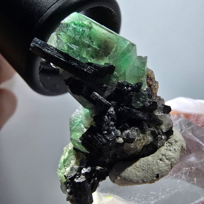 Phantom Fluorit hexagonal, Schörl Turmalin Stufe Erongo, Namibia 35*27*16mm #12039