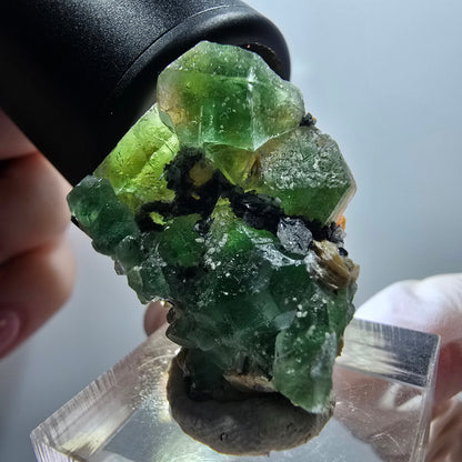Phantom Fluorit, Schörl Turmalin, Muskovit Stufe Erongo, Namibia 30*24*21mm #12040