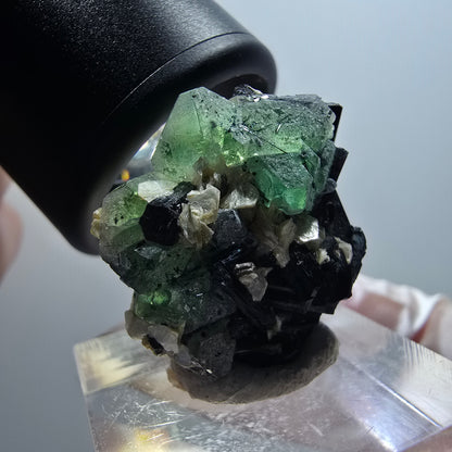 Phantom Fluorit hexagonal, Schörl Turmalin Stufe Erongo, Namibia 26*22*18mm #12042