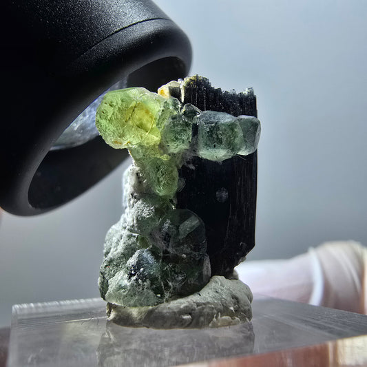Phantom Fluorit, Schörl Turmalin, Muskovit Stufe Erongo, Namibia 25*19*16mm #12043