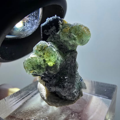Phantom Fluorit, Schörl Turmalin, Muskovit Stufe Erongo, Namibia 25*19*16mm #12043