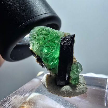 Fluorite fantôme, tourmaline Schörl, muscovite Stage Erongo, Namibie 24*12*15mm #12045 