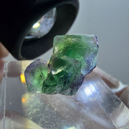 Fluorite fantôme, Tourmaline Schörl, Stade muscovite Erongo, Namibie 18*12*10mm #12046 