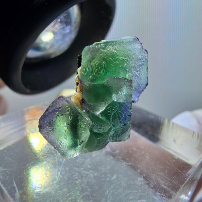 Fluorite fantôme, Tourmaline Schörl, Stade muscovite Erongo, Namibie 18*12*10mm #12046 