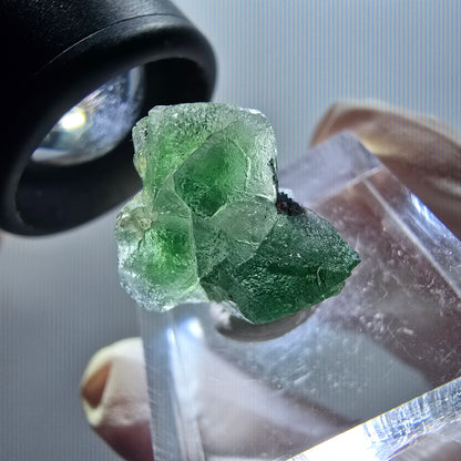 Spécimen rare de fluorite fantôme et de tourmaline schorl, Erongo, Namibie, 18*16*12 mm, n° 12049 