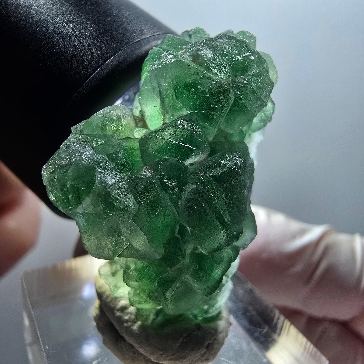 Fluorite fantôme, tourmaline Schörl, muscovite Stage Erongo, Namibie 35*26*14mm #12057 
