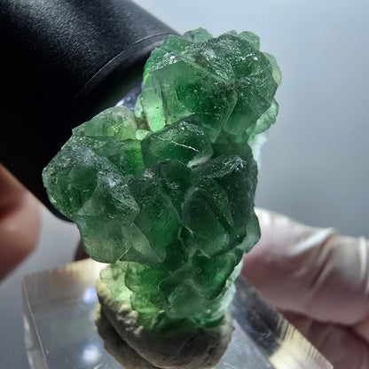 Fluorite fantôme, tourmaline Schörl, muscovite Stage Erongo, Namibie 35*26*14mm #12057 