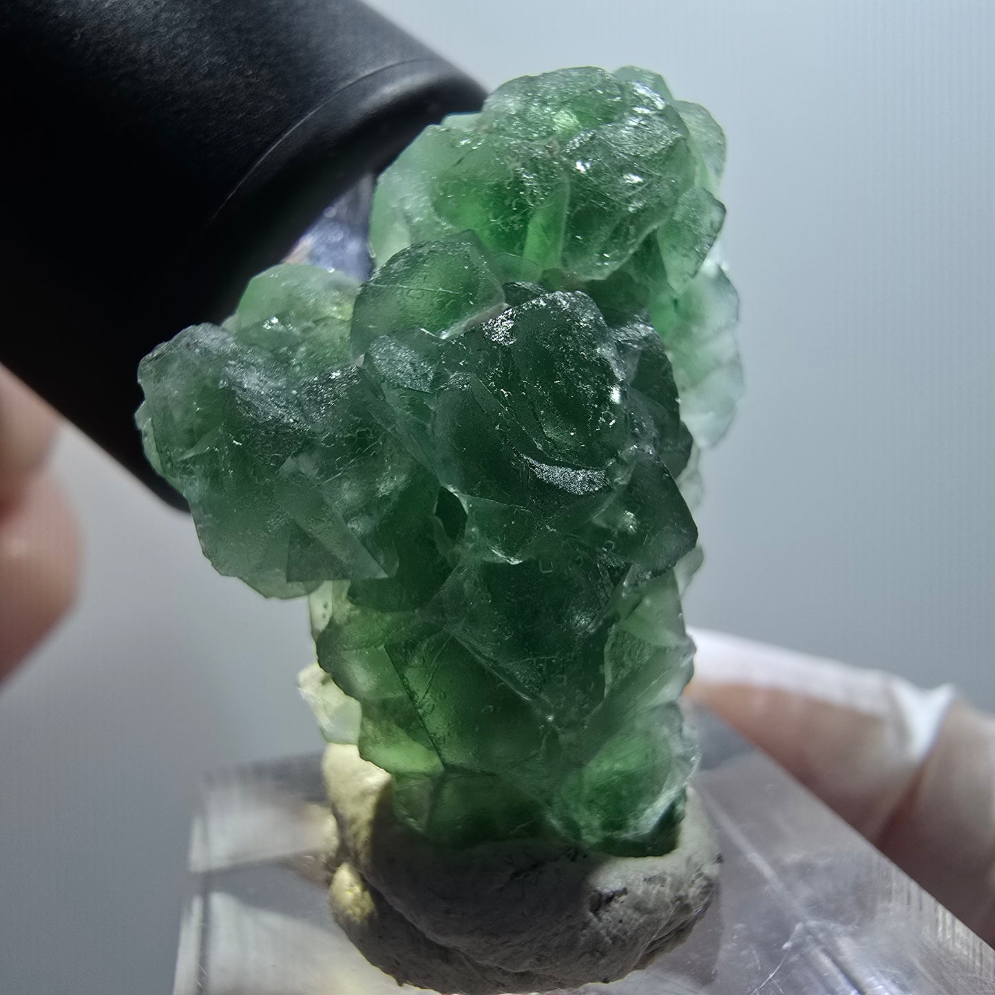 Fluorite fantôme, tourmaline Schörl, muscovite Stage Erongo, Namibie 35*26*14mm #12057 