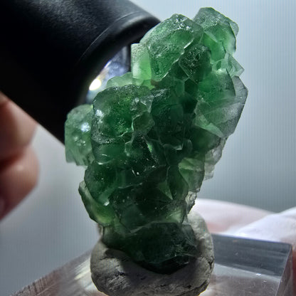 Fluorite fantôme, tourmaline Schörl, muscovite Stage Erongo, Namibie 35*26*14mm #12057 