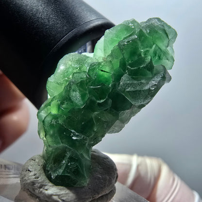 Fluorite fantôme, tourmaline Schörl, muscovite Stage Erongo, Namibie 35*26*14mm #12057 