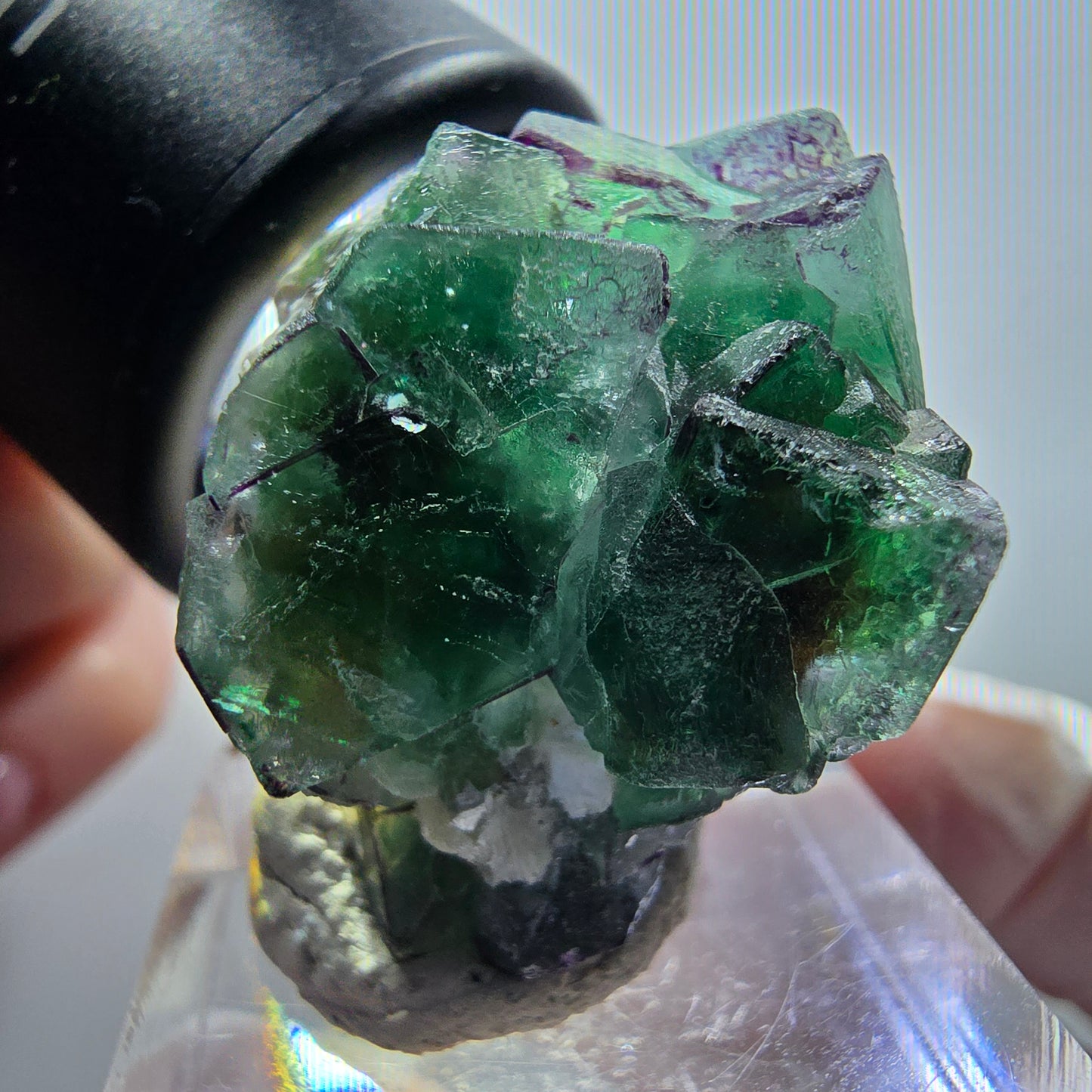 Fluorite fantôme, Tourmaline Schörl, Stade muscovite Erongo, Namibie 31*24*23mm #12061 