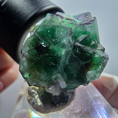 Fluorite fantôme, Tourmaline Schörl, Stade muscovite Erongo, Namibie 31*24*23mm #12061 