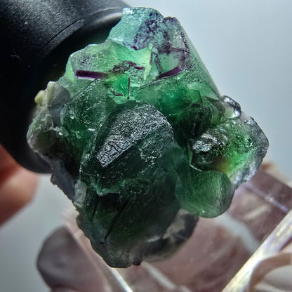 Fluorite fantôme, Tourmaline Schörl, Stade muscovite Erongo, Namibie 31*24*23mm #12061 
