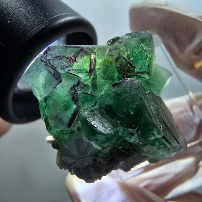 Fluorite fantôme, Tourmaline Schörl, Stade muscovite Erongo, Namibie 31*24*23mm #12061 