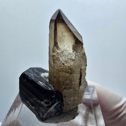 Tourmaline Schörl, opale hyalite, stade de quartz fumé Erongo, Namibie 29*20*15mm #12065 