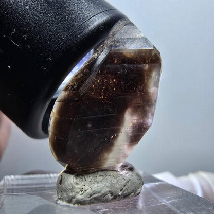 Rare Phantom Smoky Quartz DT Crystal Goboboseb, Namibia 26*16*9mm #12066 
