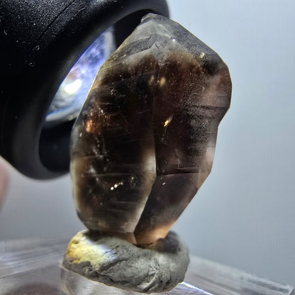 Rare Phantom Smoky Quartz DT Crystal Goboboseb, Namibia 26*16*9mm #12066 