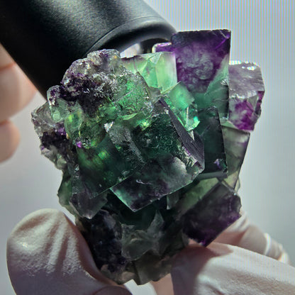 Rare spécimen de cube de fluorite fantôme, vert-violet, Okorusu, Namibie, 52*50*30 mm #12082 