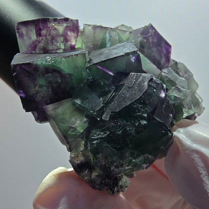Rare spécimen de cube de fluorite fantôme, vert-violet, Okorusu, Namibie, 52*50*30 mm #12082 