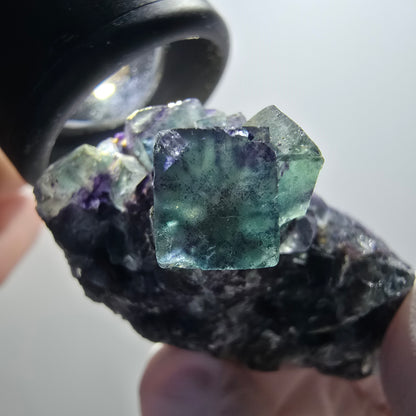 Rare phantom fluorite cube specimen, green-purple, Okorusu, Namibia, 55*32*23mm #12086 