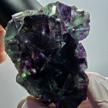Rare spécimen de cube de fluorite fantôme, vert-violet, Okorusu, Namibie, 65*49*19 mm #12089 