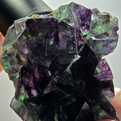 Rare spécimen de cube de fluorite fantôme, vert-violet, Okorusu, Namibie, 65*49*19 mm #12089 