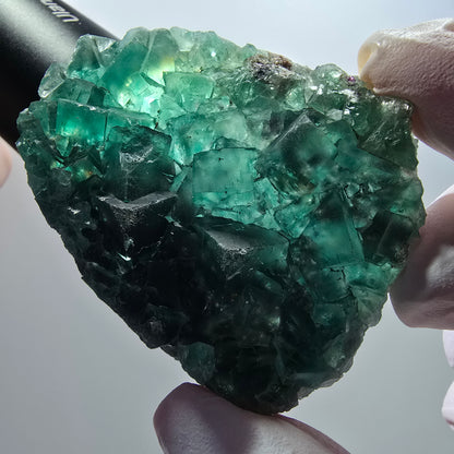 Rare phantom fluorite cube specimen, green, Okorusu, Namibia, 59*47*14mm #12090 