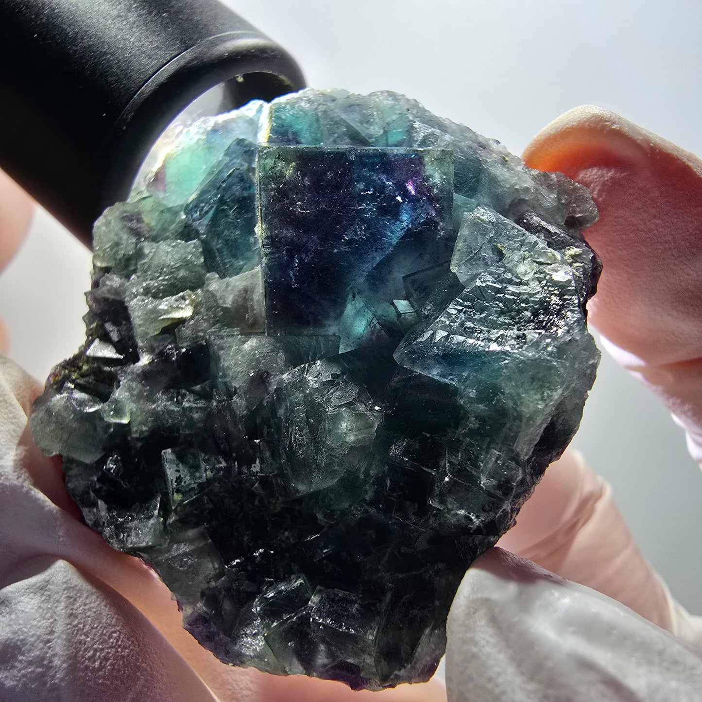 Spécimen de cube de fluorite fantôme, poche papillon bleu, Okorusu, Namibie 52*49*16mm #12091 