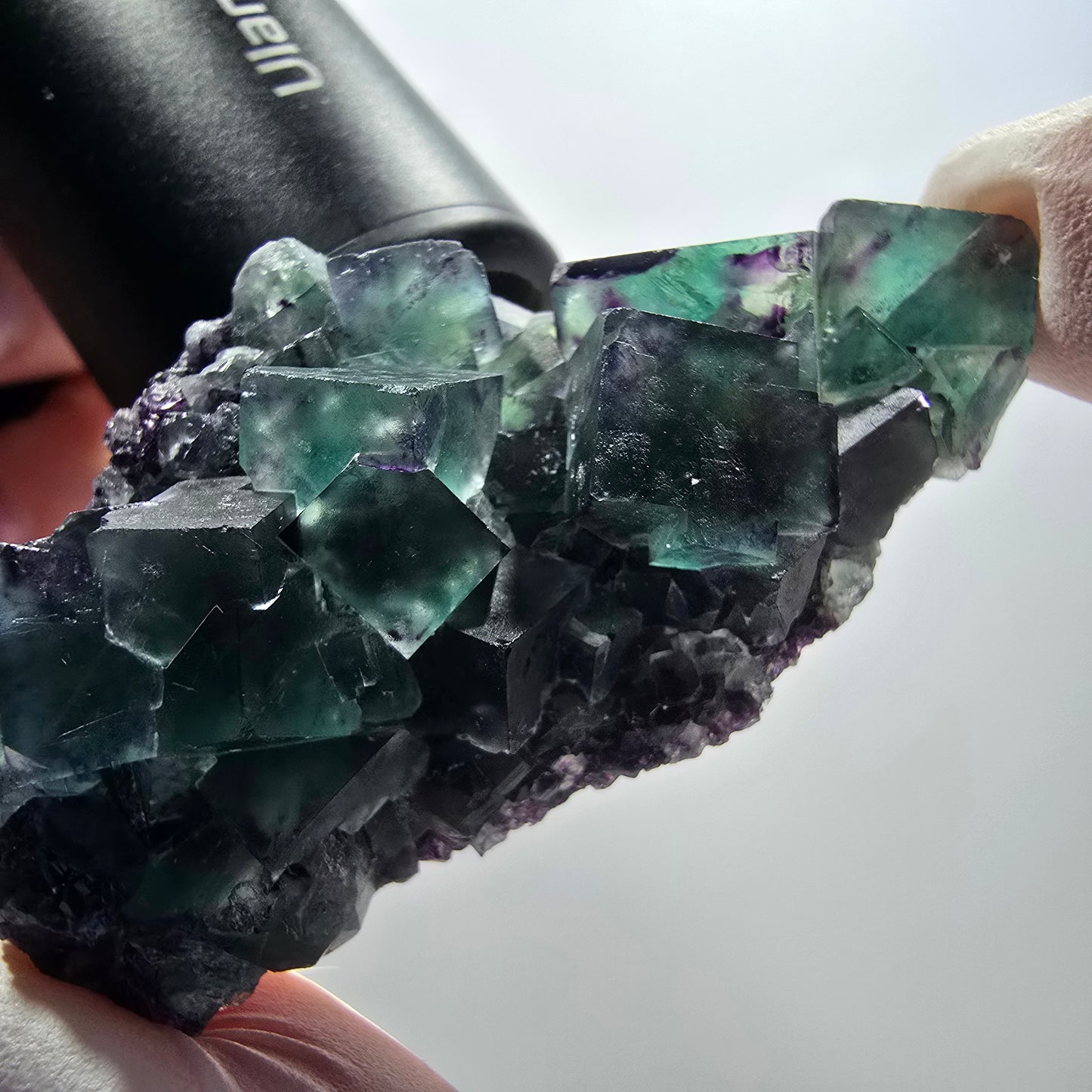 Rare spécimen de cube de fluorite fantôme, vert-violet, Okorusu, Namibie, 59*31*18 mm #12092 