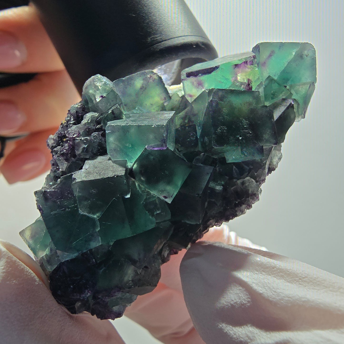 Rare spécimen de cube de fluorite fantôme, vert-violet, Okorusu, Namibie, 59*31*18 mm #12092 