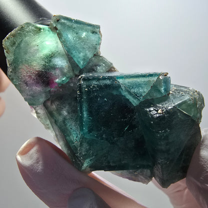 Rare spécimen de cube de fluorite fantôme, vert-violet, Okorusu, Namibie, 62*36*30 mm #12102 