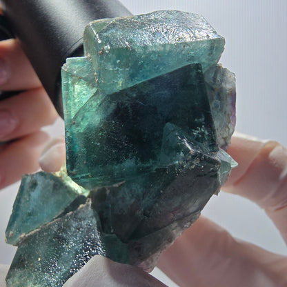 Rare spécimen de cube de fluorite fantôme, vert-violet, Okorusu, Namibie, 62*36*30 mm #12102 